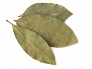 recipe for bayleaf ant remedy