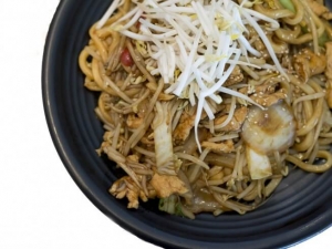 recipe for chicken udon