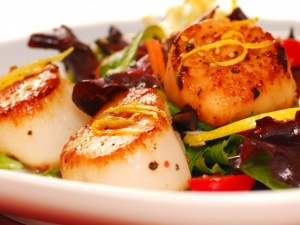 recipe for seared sea scallop salad with honey-lime dressing