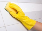 Ceramic Tile Cleaner