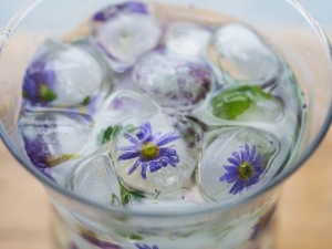 recipe for flower ice cubes