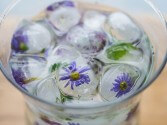 photo of Flower Ice Cubes