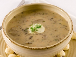 recipe for cream of portabella soup