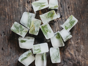recipe for mint ice cubes