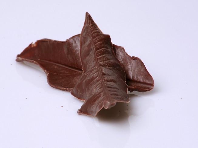 photo of Chocolate Leaves