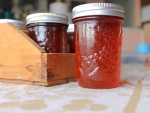 recipe for bottled apple juice jelly