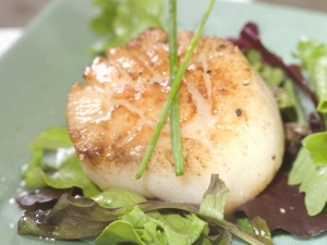 recipe for broiled sea scallops