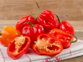 Habanero Poppers