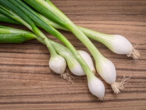 recipe for jenny's fresh green onion saute