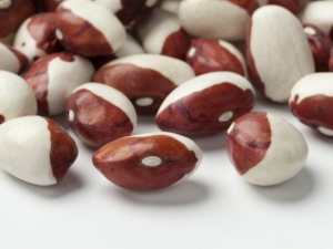 recipe for anasazi bean soup