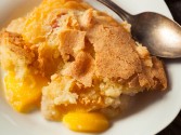 Mango Pudding Panama