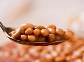 Boston Baked Navy Beans Recipe