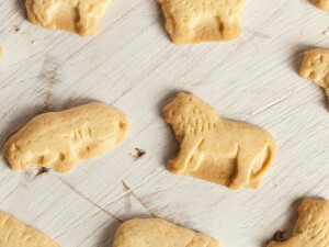 recipe for animal cracker critter crunch