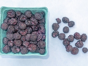 recipe for black raspberry dumplings