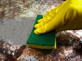 Aluminum Pan Cleaner