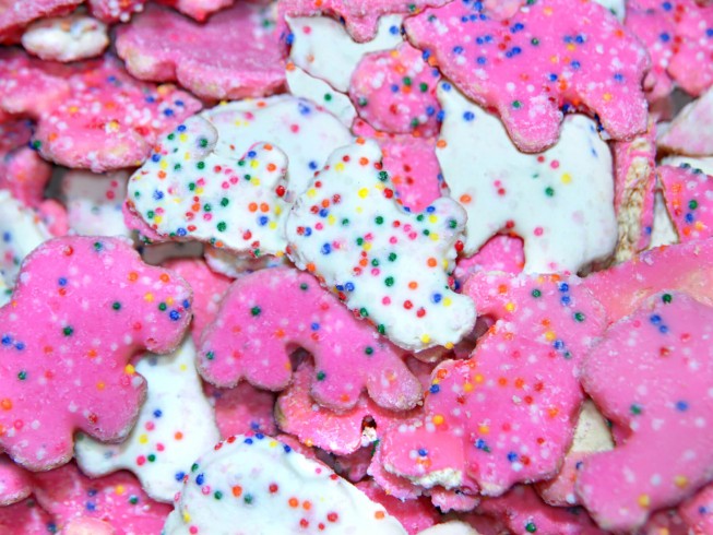photo of Homemade Animal Cookies