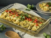 Recipe for Green Chile Enchiladas With White Queso