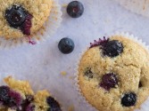 Blueberry Yogurt Muffins