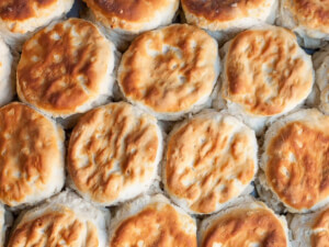recipe for basic light and fluffy biscuits