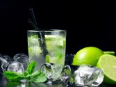 Low Carb Mojito