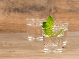 recipe for make your own peppermint schnapps