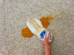 recipe for carpet spot cleaner