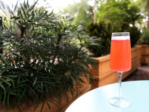 recipe for pink mimosas