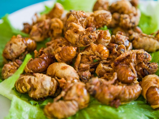 photo of Fried Soft-Shelled Cicadas