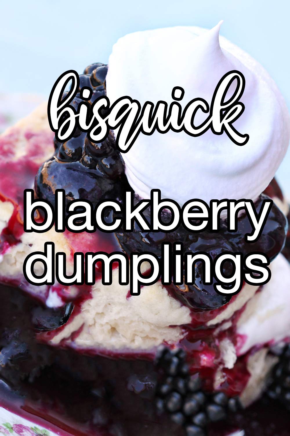 Bisquick Blackberry Dumplings Recipe