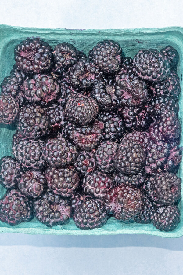 Black Raspberry Dumplings Recipe
