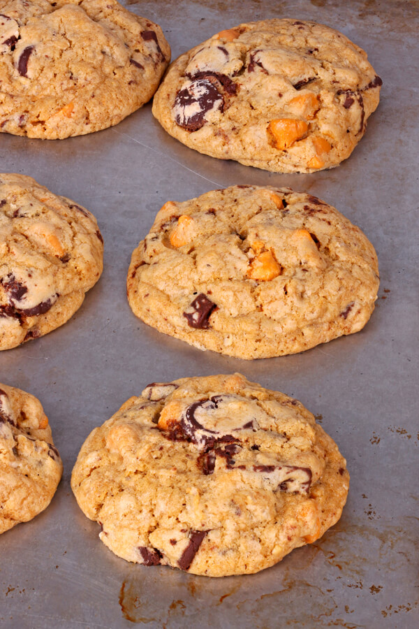 Milk Chocolate Butterscotch Cafe Cookies Recipe