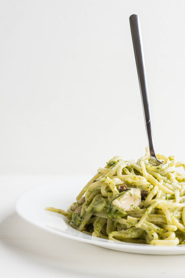 Chicken and Broccoli Cheese Noodles Recipe