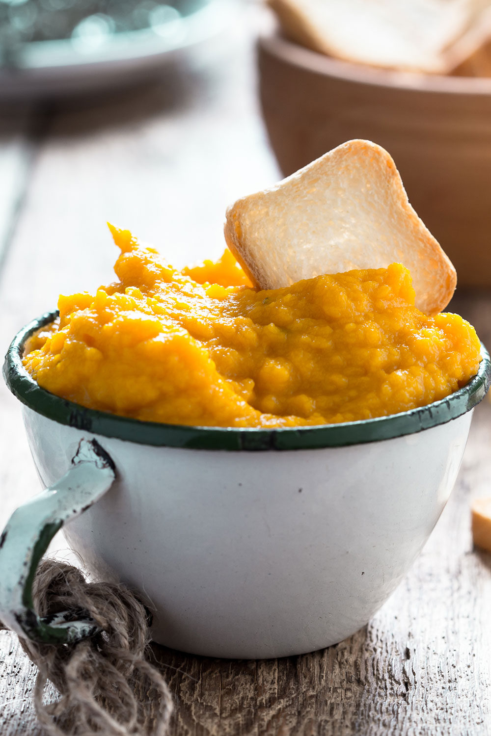 Acorn Squash Dip Recipe