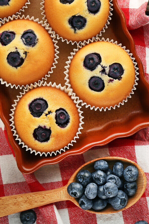Blueberry Harvest Soy Muffins Recipe