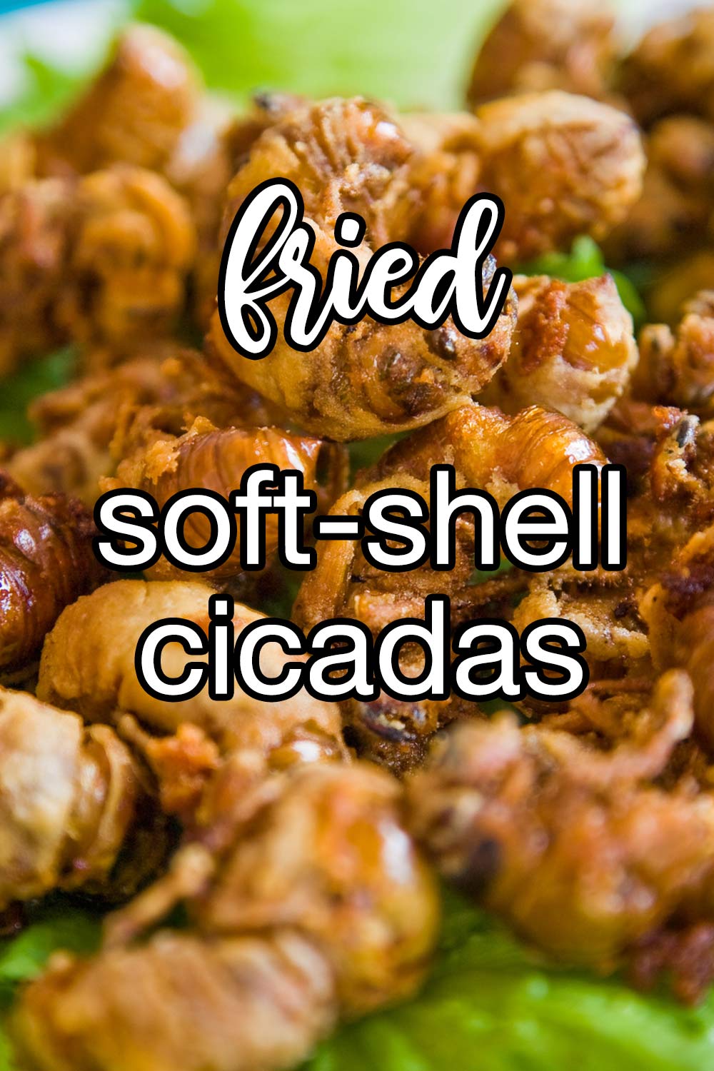 Fried Soft-Shelled Cicadas Recipe