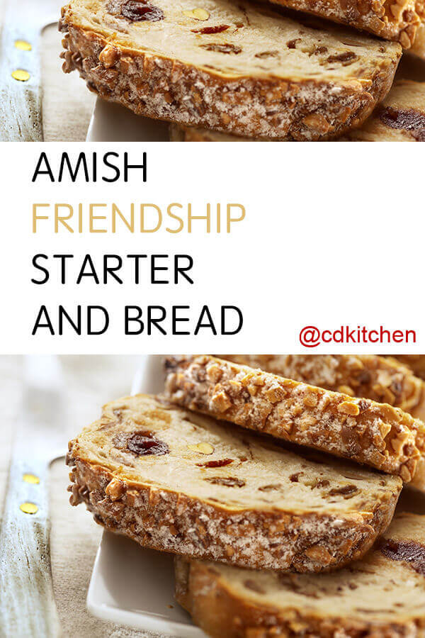 amish friendship bread starter recipe without yeast