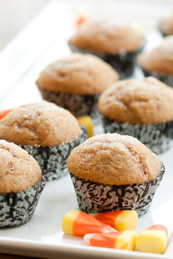 Cinnamon-Sugar Pumpkin Muffins Recipe