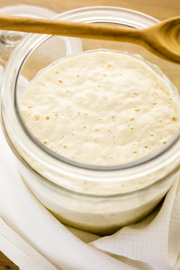Milk-Based Sourdough Starter Recipe
