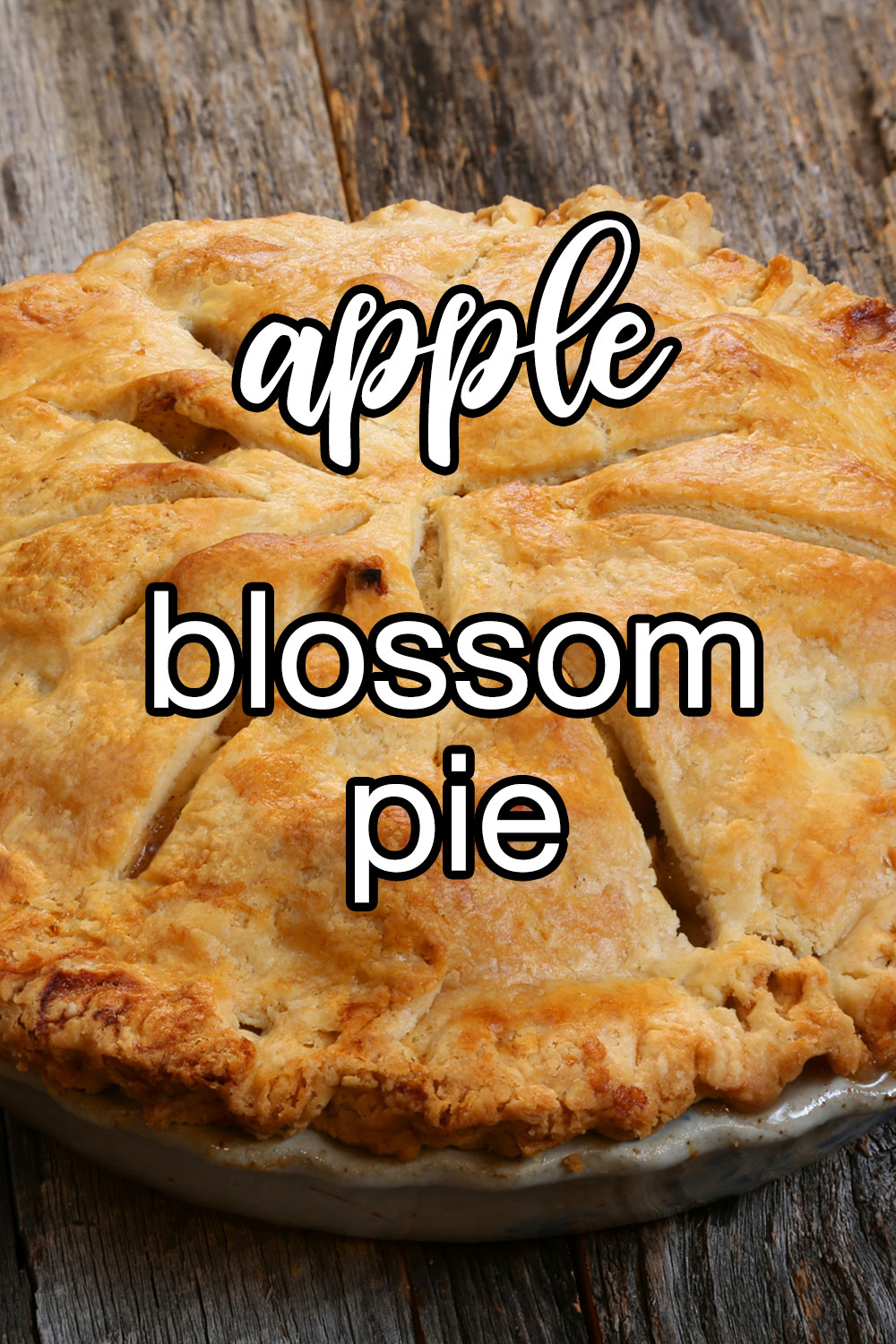 Apple Blossom Pie Recipe