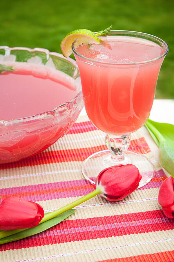 Cranberry Spritzer Recipe