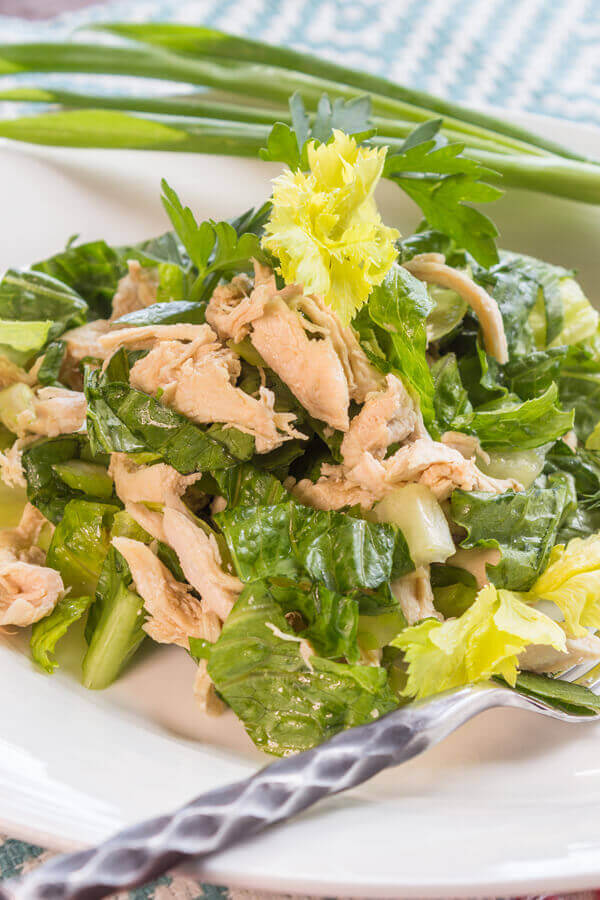 Chinese Chicken Salad Dressing Recipe | CDKitchen.com