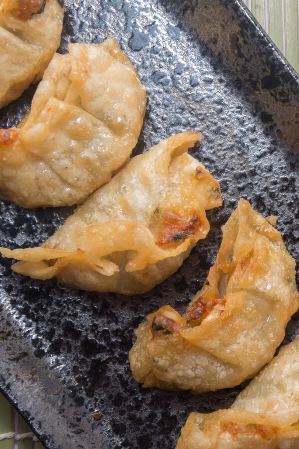 Kimi's Pork Gyoza Recipe