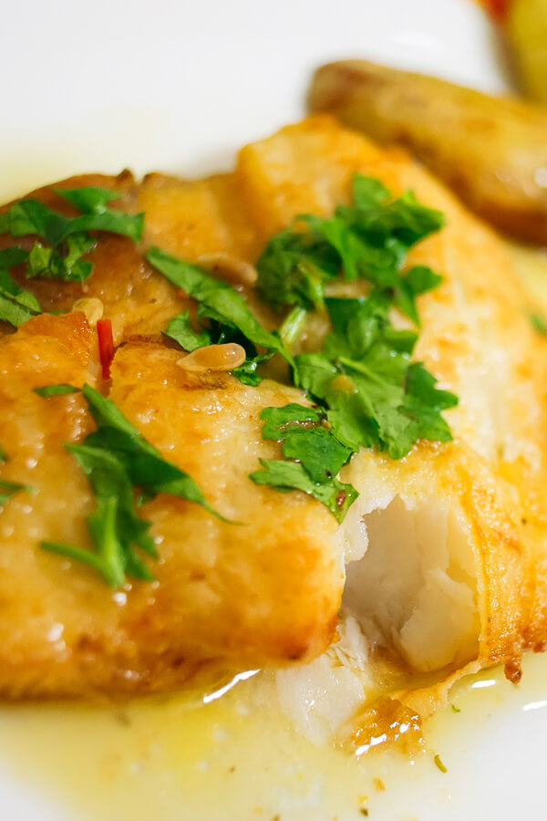 Apricot-Glazed Halibut Recipe