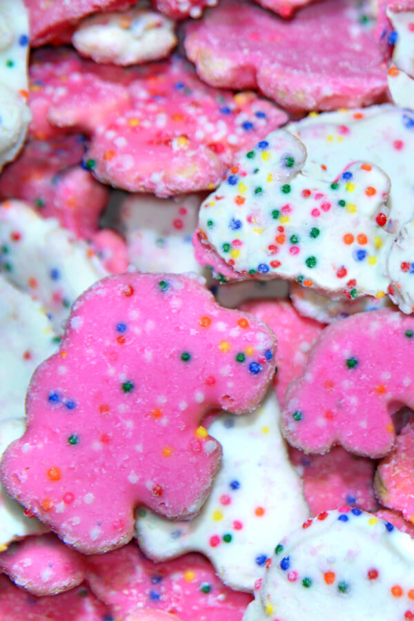 Homemade Animal Cookies Recipe
