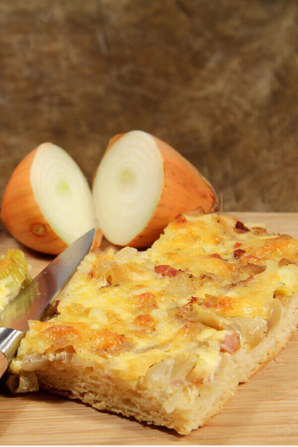 Onion Squares Recipe