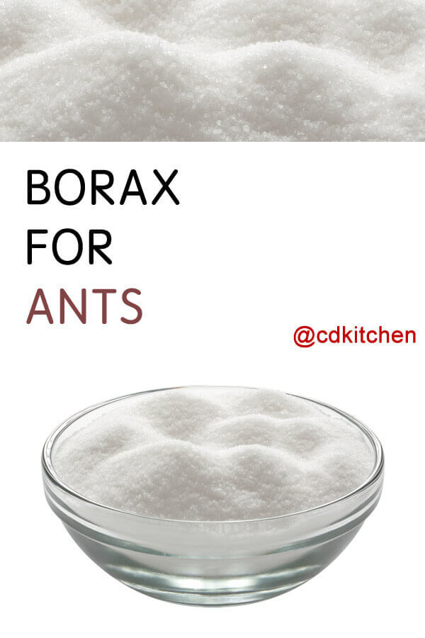 Borax For Ants Recipe