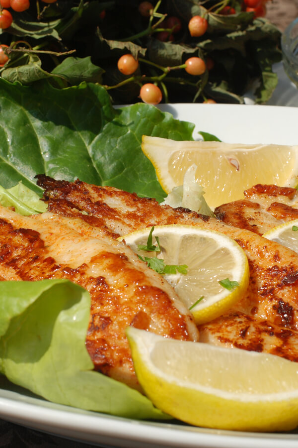 Cajun-Style Grilled Catfish Recipe | CDKitchen.com