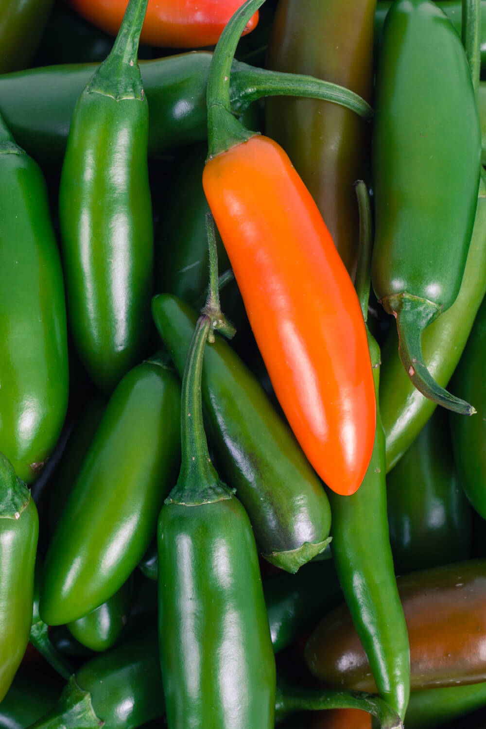Green Chile Fire Paste Recipe