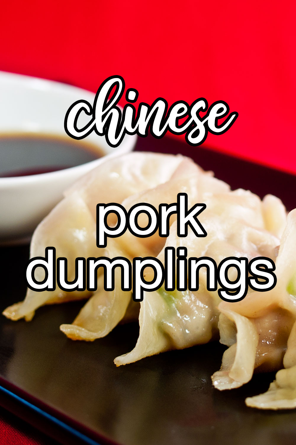Chinese Pork Dumplings with Soy Ginger Dipping Sauce Recipe