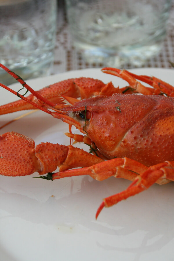 Classic Boiled Lobster Recipe